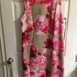 Calvin Klein Rose Flower Dress Size 16 42 Bust = Large  Db1 Box